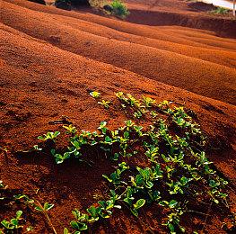 《Gridlock Gladiators》steam页面上线 环境构建对战新游